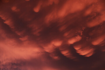 Dramatic sunset landscape with puffy clouds lit by orange setting sun and blue sky.
