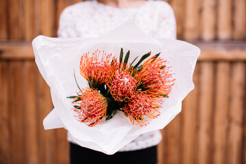 Very nice young woman holding exotic and beautiful mono bouquet of fresh orange nutan proteas ,...