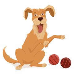 Pet, dog breed golden retriever. Small balls to play with. Vector illustration, cartoon isolated on white