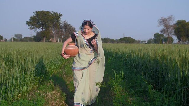 A beautiful married housewife walking through a field with a pitcher - Village scene. An Indian lady from a village in traditional Saree carrying a pot of drinking water from a tubewell for househo...