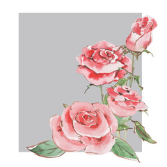 Pink bouquet of blooming roses in a rectangular frame. Beautiful flower arrangement. Hand drawn watercolor painting on gray background for greeting, wedding invitations, cards, labels, banners.