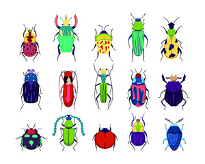 A set of beetles of different shapes and colors. modern design isolated white background. Set with spring and summer insects. Hand drawn illustration. Collection of beetles and exotic beetles.