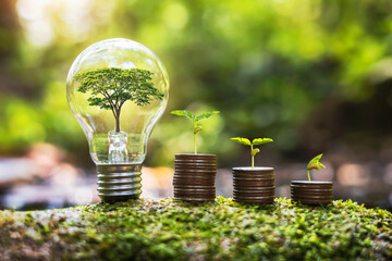 tree growing in ligthbulb with plant growth on money in nature. concept energy and business
