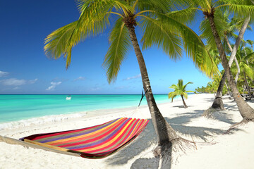 tropical palm beach with colorful relaxing hammock
