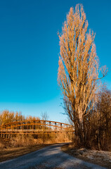 Beautiful winter landscape with the famous Bockerlbahn cycle path in the background at Landau,...