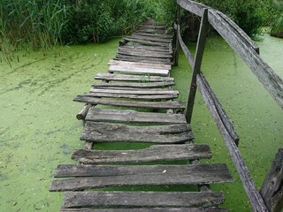 Obraz premium old wooden bridge