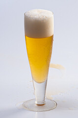 Tulips and crystal mugs for serving draft beer and beers