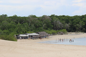 Ilha do Amor, Camocim, Ceará, Brasil, beach with trees