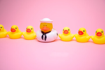 Navy duck