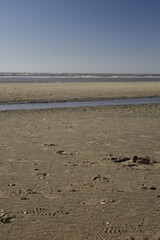 Sandy North Sea beach and ocean at dusk, concept: serenity, holiday, seascape (vertical), Zandvoort, North Holland, Netherlands