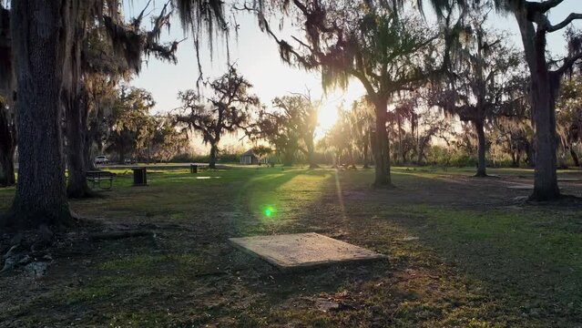 Beautiful sunset beaming through Spanish Moss and large Oak Trees