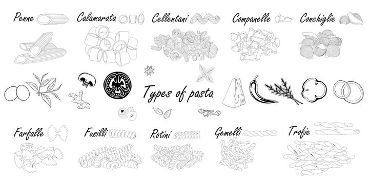 A professional vector infographic showcasing 10 various types of Italian pasta Outlines