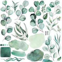 Watercolor green eucalyptus leaves and spots elements illustration - obrazy, fototapety, plakaty