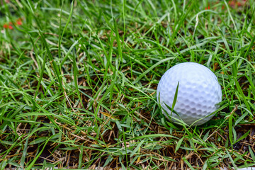 Close-up golf ball on green grass field