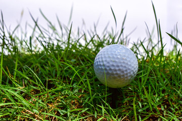 golf ball on green lawn green white background