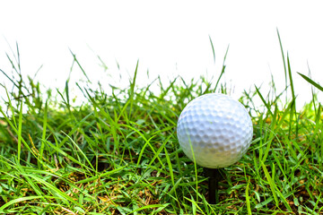 golf ball on green lawn green white background