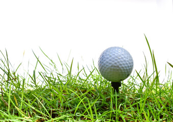 golf ball on green lawn green white background