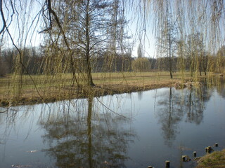 wiosna nad kanałem w parku
