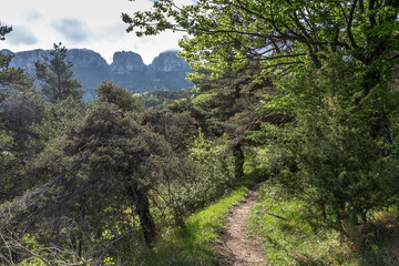 Rochers des Deux Soeurs , Montagne de l' épenet ,  Paysage du Royans au Printemps , Drôme , France