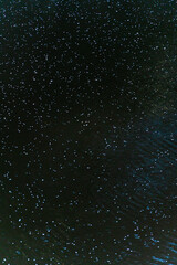 Cherry flowers flows on river.