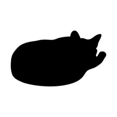Black silhouette of a cat on a white background.
