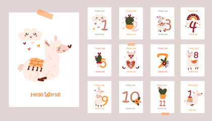 Fototapeta na wymiar Monthly baby cards with cute llamas.