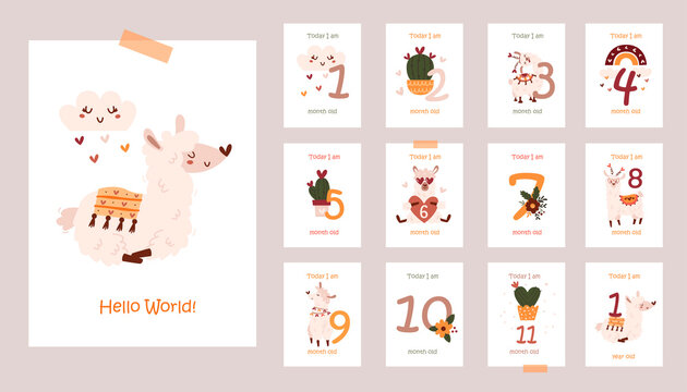 Monthly baby cards with cute llamas.