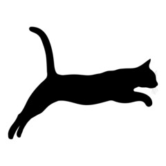 Black silhouette of a cat on a white background.