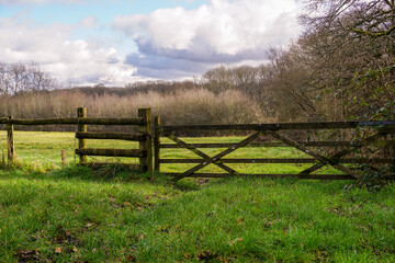 Fototapeta na wymiar View over countryside fields in spring. Peaceful farmland with wooden gate into field. Natural English countryside landscape 