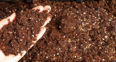 Hand holding a pile of organic humus soil for planting, potting, or home gardening. Top view, a close-up.