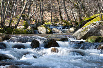 Small river in a forest the passage of water between the rocks leaves a small waterfall.