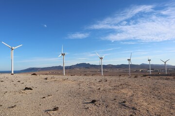 Farma wiatraków prądotwórczych na wyspie Fuerteventura © neskama