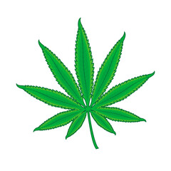 Green fresh marijuana herbal cannabis leaf icon vector. Hemp leaf design element isolated on a white background. Marijuana herbal cannabis leaf vector