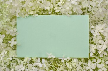Floral frame with green blank  card for text on the background of delicate hydrangea white flowers.