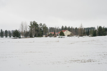 Snowfall . winter landscape over the lake. In the foreground are trees.