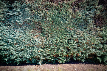 imagener abtractas para fondos y composiciones	