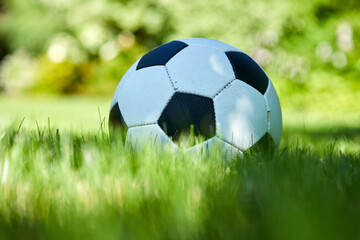 Fototapeta premium football ball on green grass lawn