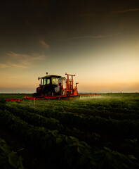 Tractor spraying soybean field at spring