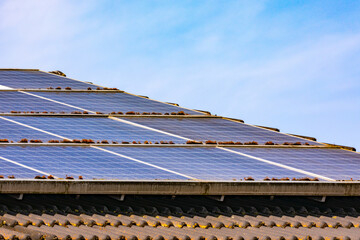 PV systems and solar panels on private and public roofs contaminated by dust and moss have reduced...