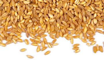 Close-up view wheat grains