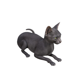Fototapeta premium Sphynx cat isolated on white background. 3d rendering-illustration.