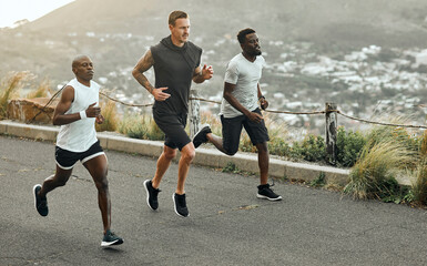 Lets go the extra mile. Shot of a group of men exercising in nature.