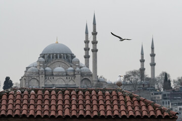 Fototapeta na wymiar Süleymaniye mosque