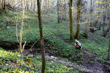One Woman Picking Up Herbs in Spring Woods