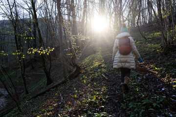 Woman Walk in Woods Against The Sun