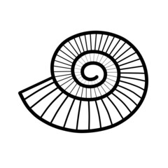 Ammonite du Jurassique