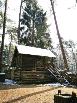 wooden house in the forest
