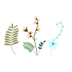 Flower Elements, Plant Leaves