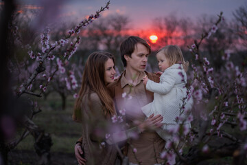 Happy modern family among the trees of pink blooming garden. Father holds little daughter in arms