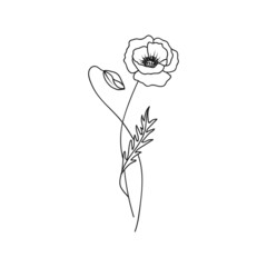 Poppy August Birth Month Flower Illustration - 497328610